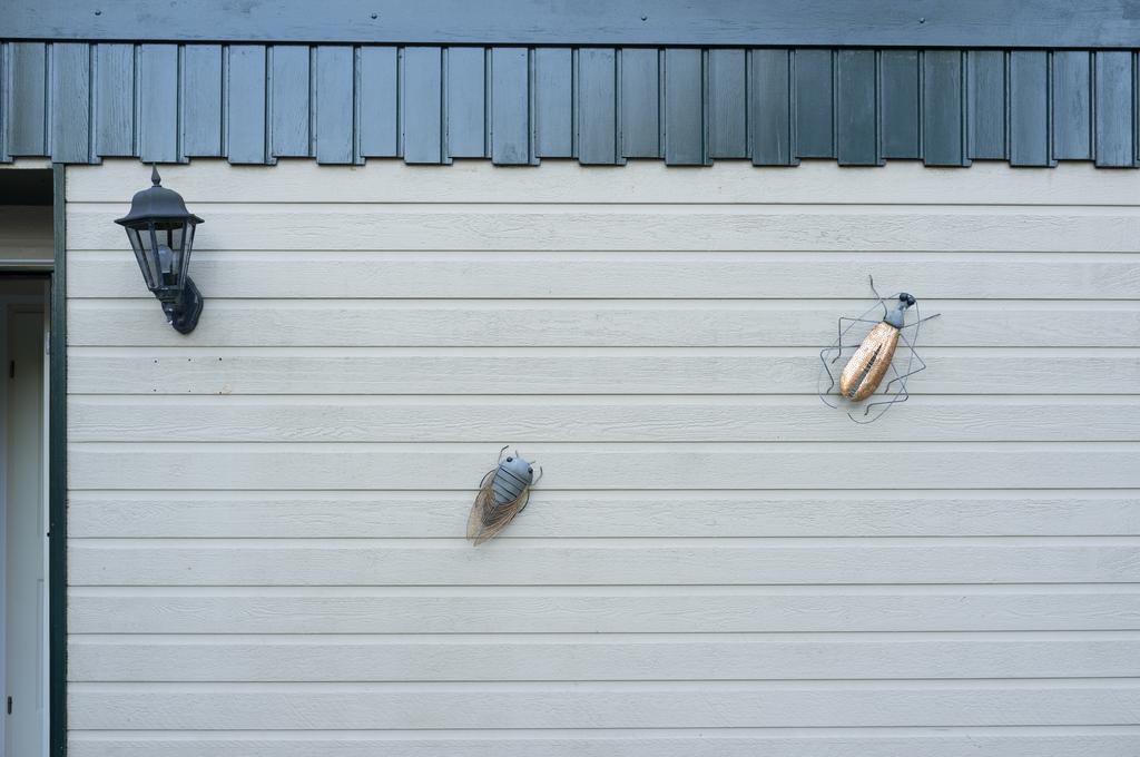Tranquil Oasis: Dutch Countryside Retreat with Bike Rentals Putten Exterior photo