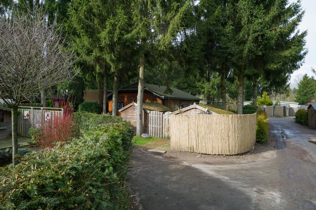 Tranquil Oasis: Dutch Countryside Retreat with Bike Rentals Putten Exterior photo